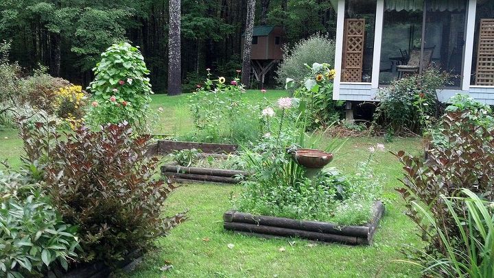 raised beds create focal point in sunny garden spot, diy, flowers, gardening, raised garden beds, woodworking projects