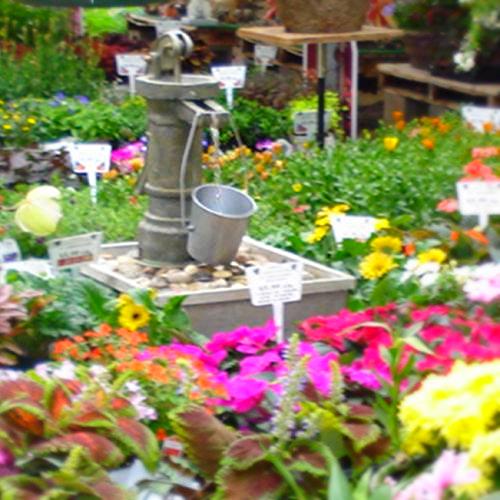 this cute pump w bucket fountain at abner s garden cntr in wheatridge, gardening, outdoor living, ponds water features
