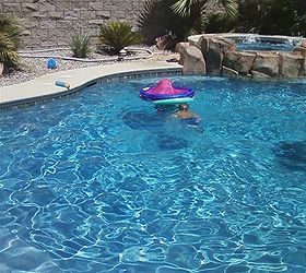 i would love to put in a pool seeing a co workers pool gave some great ideas, outdoor living, pool designs