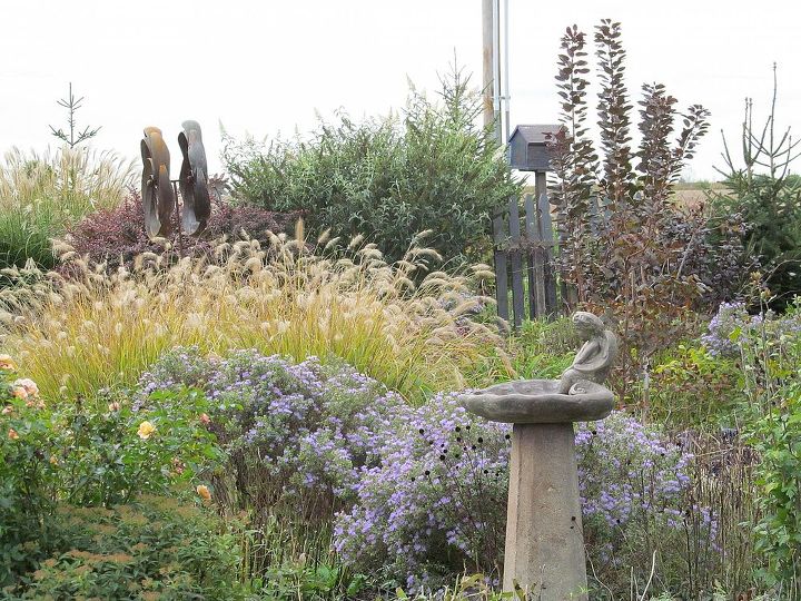 comparte usted las vistas de su jardn para animar a otros a probarlo