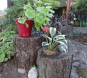 log planter, gardening, outdoor living, The Hosta and Vinca are planted in my 2 small holes I am not sure how well they will winter over