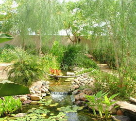 our work, flowers, gardening, outdoor living, pets animals, ponds water features, Desert cam be lush