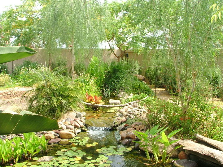 our work, flowers, gardening, outdoor living, pets animals, ponds water features, Desert cam be lush