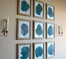 diy sea fan wall decor, crafts, home decor, The frames are basic frames that have been spray painted gold