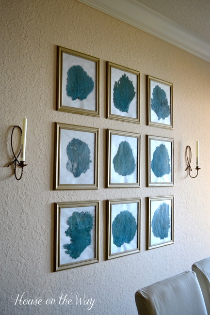 diy sea fan wall decor, crafts, home decor, The frames are basic frames that have been spray painted gold