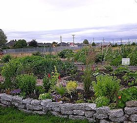 how to build a rock garden, gardening, landscape, succulents, Ladner Community Garden s rock wall garden brings plants to eye level Elevated beds also warm up quickly in the spring