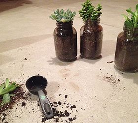 diy mason jar planters, diy, flowers, gardening, mason jars, repurposing upcycling, succulents, Fill the bottom of your jars with small rocks or pebbles to help with drainage Never overwater your plants