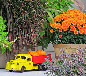 fun fall porch inspiration, outdoor living, repurposing upcycling, seasonal holiday decor, My 50 s dump truck full of mini pumpkins sits next to my favorite color of mums