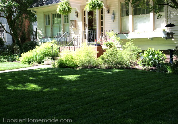 7 dicas para proprietrios de casas ao instalar o gramado