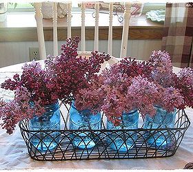 lilacs, gardening, My favorite new way of displaying them inside my blue ball anniversary jars