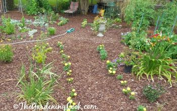 DIY Natural Mulch Garden Paths - So Much Cheaper Than Hardscaping!