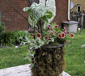 container gardening ideas and tips, container gardening, flowers, gardening