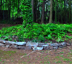 landscaping the yard, gardening, landscape, shade garden with rocks helps cover tree roots