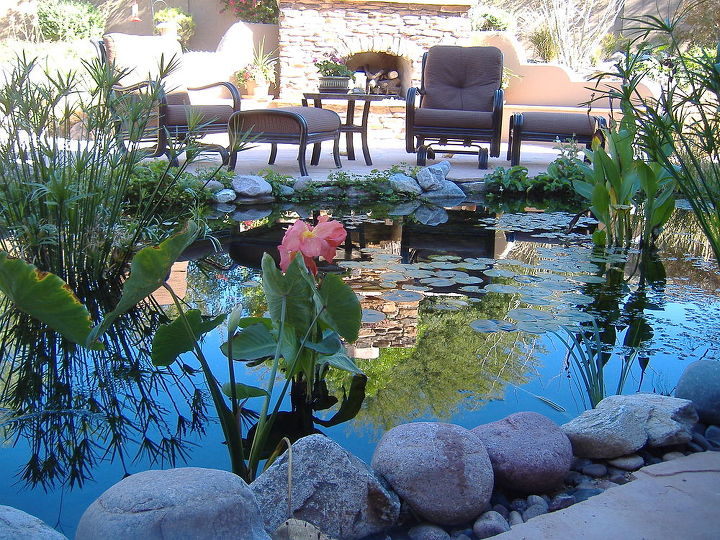 our work, flowers, gardening, outdoor living, pets animals, ponds water features, Lifestyle