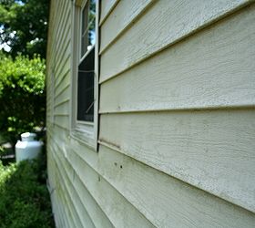 how to clean vinyl siding, cleaning tips, curb appeal, Yuck Check out that mold