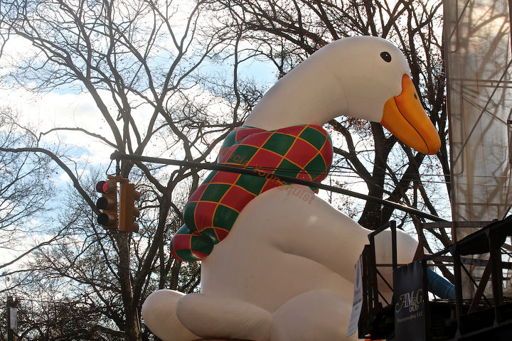 id needed re characters in entertainment, seasonal holiday d cor, thanksgiving decorations, An unidentified bird marches flies in Macy s 2013 Thanksgiving Parade View Four at CPW