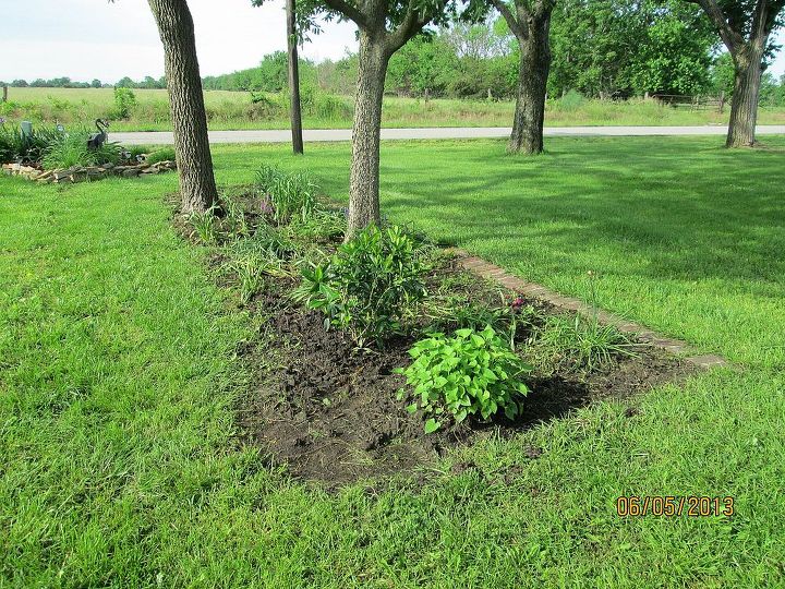 i have an east garden spot that is very dry and mostly shade, gardening