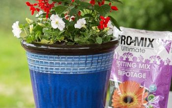 Mother’s Day Marks the Time to Pot Up Container Gardens
