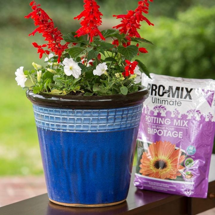 mother s day marks the time to pot up container gardens, container gardening, flowers, gardening, perennials, succulents, create containers that will bloom all season