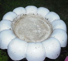 succalents planted in a bird bath made into a planter, curb appeal, gardening, Cleaned birdbath