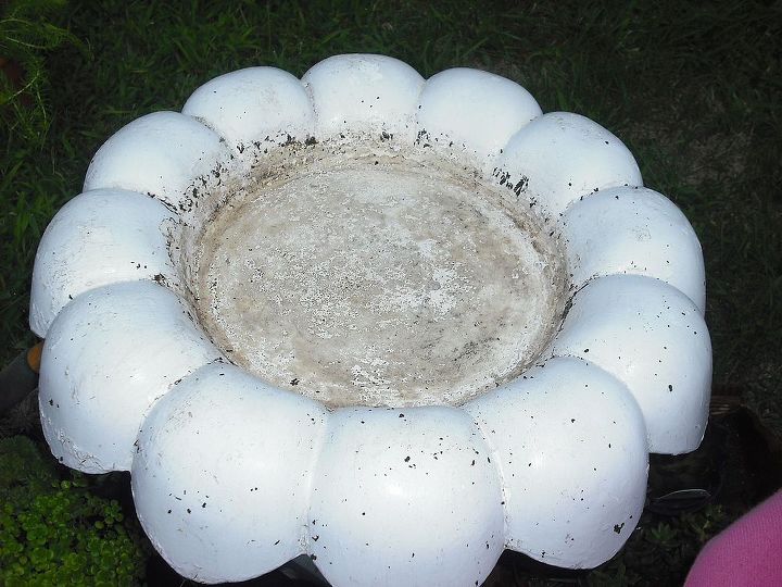 succalents planted in a bird bath made into a planter, curb appeal, gardening, Cleaned birdbath