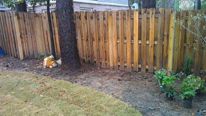 ideas for landscaping along a backyard fence