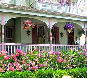 beautiful and colorful cape may front porches, curb appeal, Hydrangeas are everywhere on Cape May It s one of their signature landscaping shrubs
