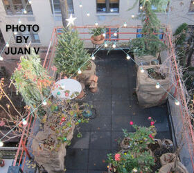 urban garden winterizing update, container gardening, diy, flowers, gardening, perennial, seasonal holiday decor, urban living, Wrapping Year Four Winter Season 2012 13 This photo was included with a story