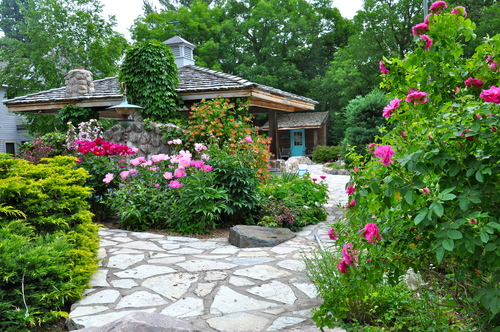 i need a good way to propagate rose plants, gardening, I would like to propagate the rosebush in the foreground on the right Does anybody have any tips