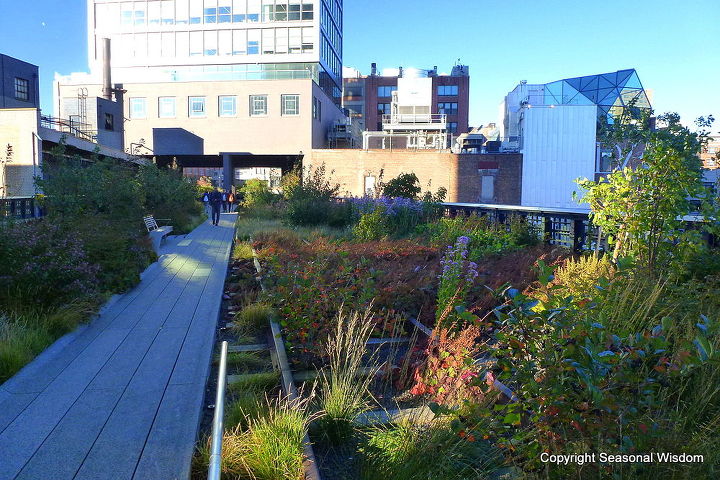 the high line in nyc takes root, flowers, gardening, home decor, hydrangea, landscape, urban living, High above the streets of Manhattan is the lovely High Line urban garden