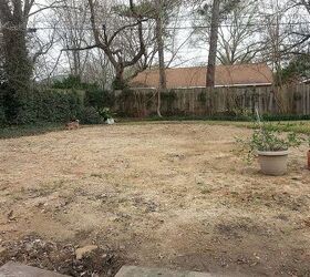 houston tx pool filled in now what, gardening, landscape, total area about 38 x 39