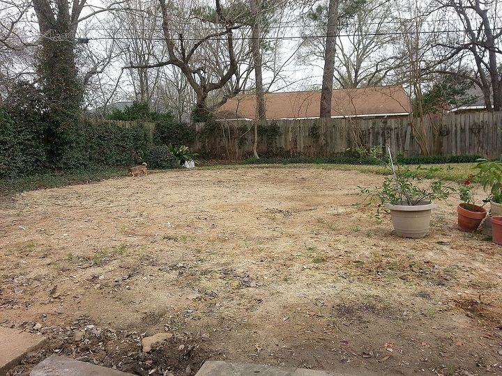 houston tx pool filled in now what, gardening, landscape, total area about 38 x 39