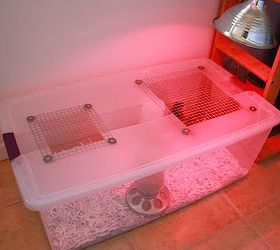 keeping backyard chickens, homesteading, pets animals, Our homemade brooder
