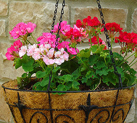 how to cut a hanging basket liner and get a perfect fit, flowers, gardening