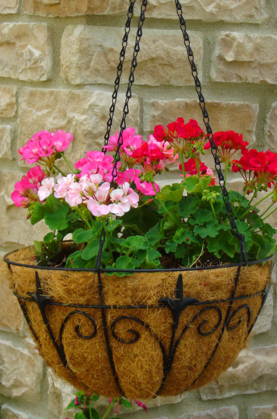 how to cut a hanging basket liner and get a perfect fit, flowers, gardening