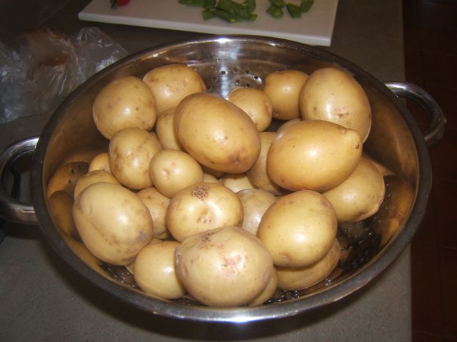 potatoes are not that innocent, gardening, go green, homesteading, Nothing better than home grown new potatoes free of pesticides herbicides and chemical fertilizers