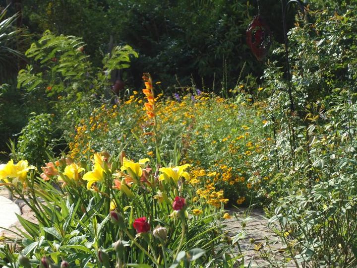 i garden with plants for wildlife and butterflies and native species that will thrive, flowers, gardening, outdoor living, ponds water features, daylilies in bloom
