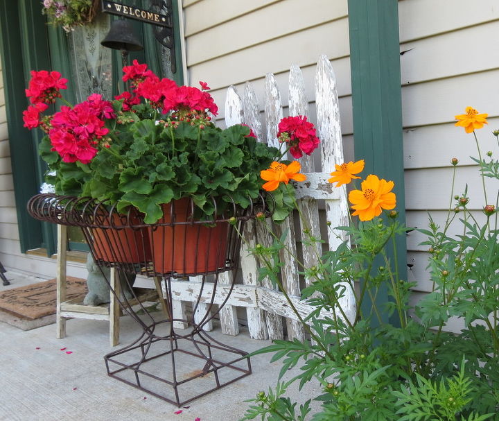 porch with a purpose, container gardening, flowers, gardening, outdoor living, repurposing upcycling, Have a lot of Cosmos growing next to the porch