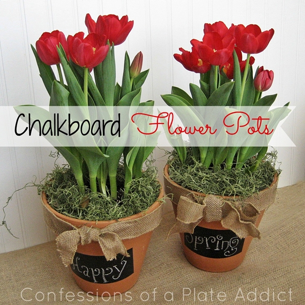 a fun and easy gift idea chalkboard flower pots, chalkboard paint, crafts, flowers, gardening, A message on the chalkboard accompanies some pretty flowers