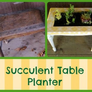 succulent table planter, flowers, gardening, repurposing upcycling, succulents, Up cycling an old wicker table I was ready to throw out into a new use