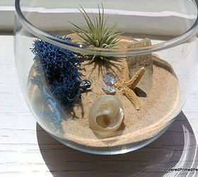 mini beach terrarium in stemless wine glass, gardening, repurposing upcycling, seasonal holiday d cor, terrarium, I love how the itty bitty jewels catch the light and the other objects cast cool shadows