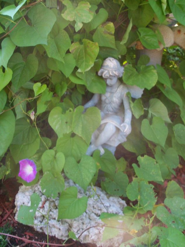 monster vines in my october garden, flowers, gardening, Attack of the morning glory mina lobata and nasturtium Overkill right