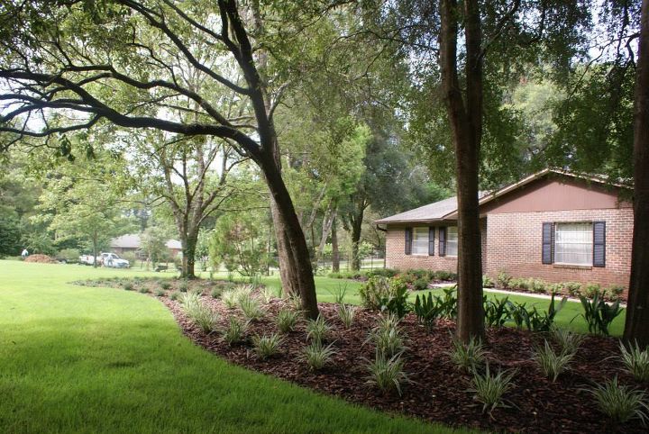 new pictures, curb appeal, gardening, landscape, A huge shady island can be designed with minimum trimming and reduced grass space