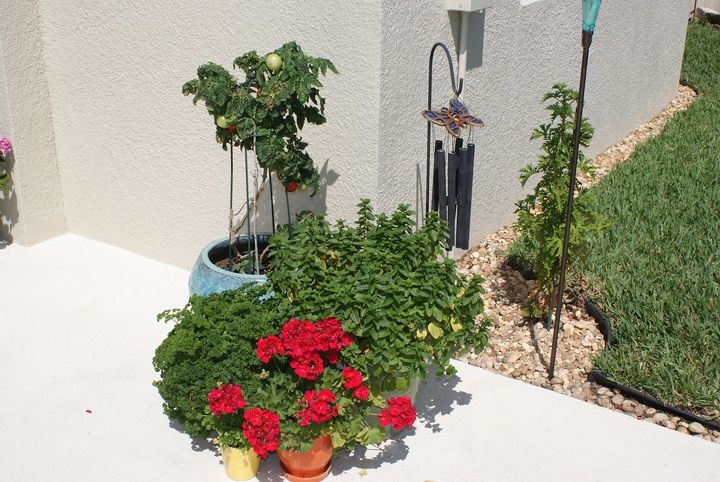 new pictures, landscape, outdoor living, Vegtables herbs and flowers are a creative grouping Simple and nice