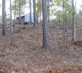wooded slope needs attention, landscape, This is on the second landing looking toward the first landing where the storage room is located as you can see this is pertty steep