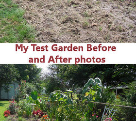 the gardening cook is part of a 12 garden hop, flowers, gardening, Before and after on my test garden