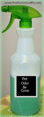 pet urine odor remover, cleaning tips, pets animals