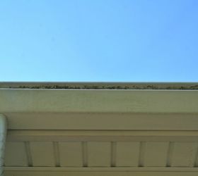 how to clean moldy gutters and bricks, cleaning tips, concrete masonry, curb appeal, Yuck Check out those moldy gutters