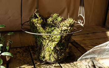 Step by Step: How to Plant a Moss Basket