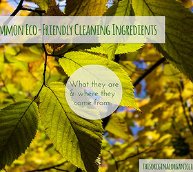 common eco friendly ingredients what they are where they come from, cleaning tips, go green